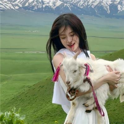 带轮子的家第四季封面