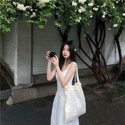 极地熊踪封面